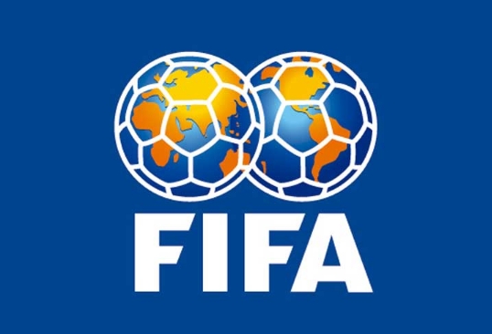 FIFA驳回南非世预赛重赛要求，加纳依然会晋级非洲区10强赛