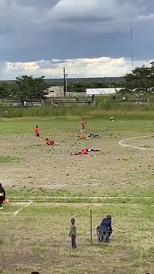 原生态足球！赞比亚足球赛遭蜂群攻击，球员纷纷躺平躲避