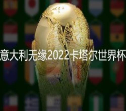 足协主席谈意大利国家队无缘2022卡塔尔世界杯