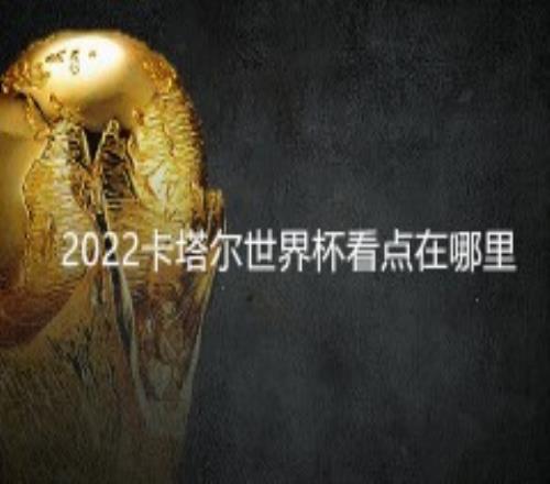 2022卡塔尔世界杯看点在哪里