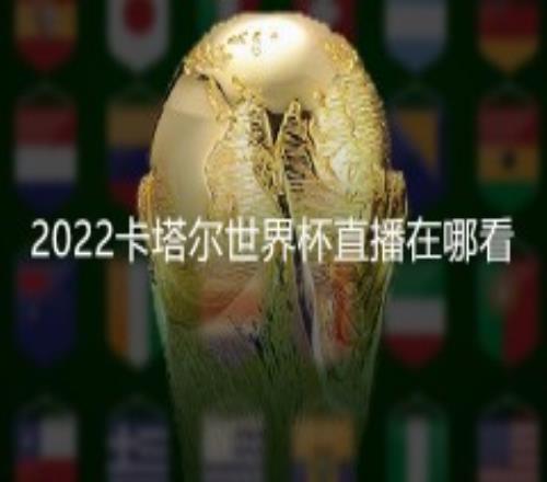 2022卡塔尔世界杯直播在哪看