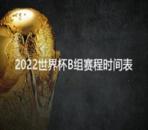 2022卡塔尔世界杯D组赛程表