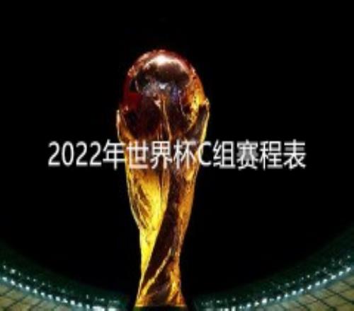 2022年世界杯C组赛程表