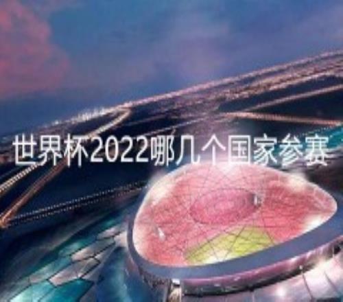 世界杯2022哪几个国家参赛