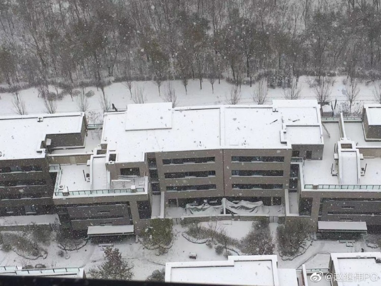 赵继伟更博：沈阳的大雪体现了我的心情 很是凄凉 念❤️家！